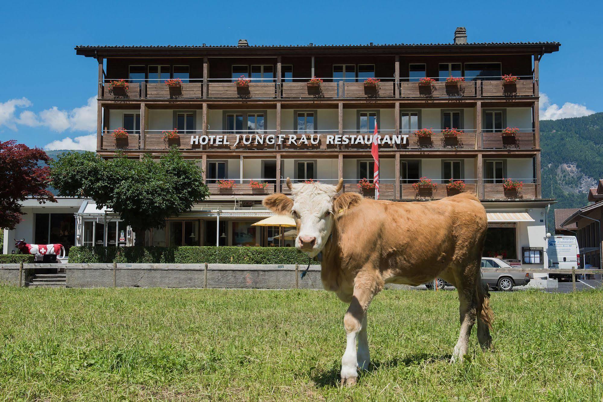 וילדרסויל Jungfrau Hotel מראה חיצוני תמונה