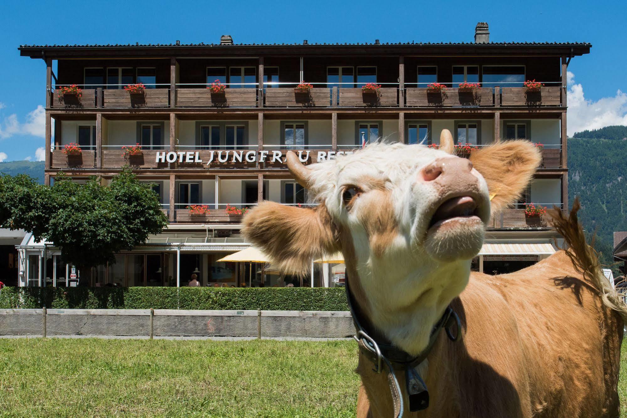 וילדרסויל Jungfrau Hotel מראה חיצוני תמונה